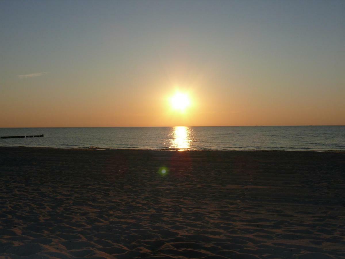 Am Ostseestrand Zingst Exterior foto